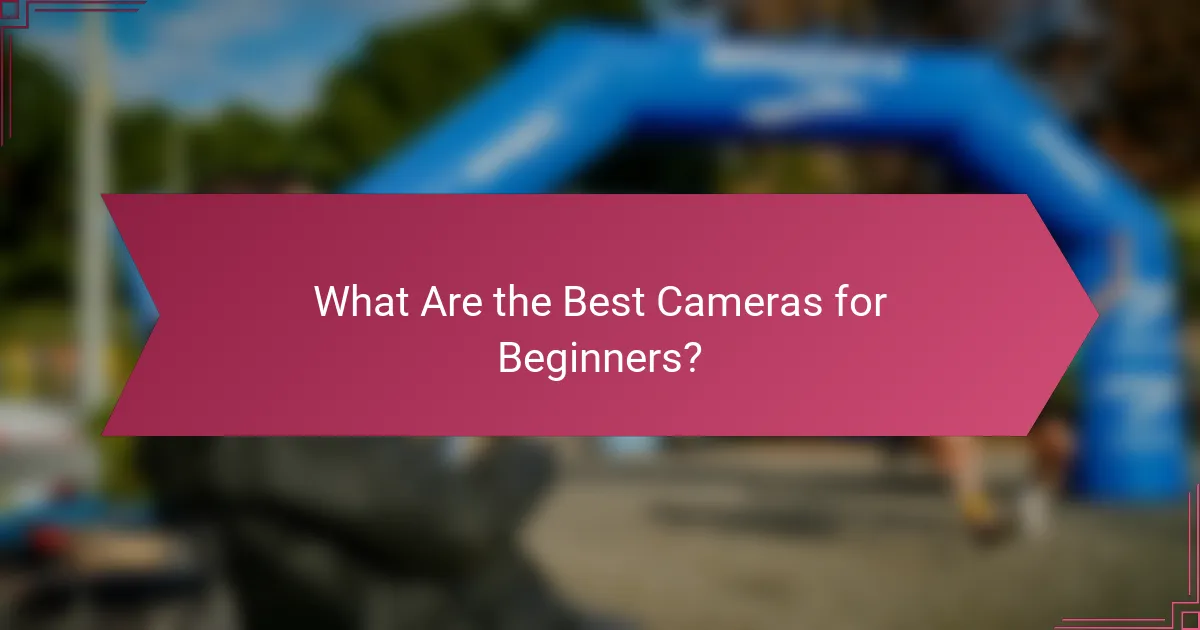What Are the Best Cameras for Beginners?